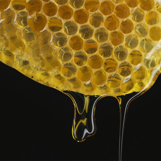 【健康饮品】蜂巢蜜 500g 商品图2