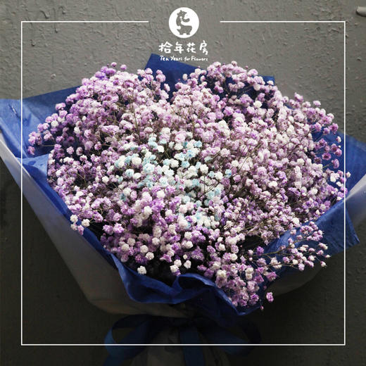 拾年花束 紫色满天星花束 商品图0