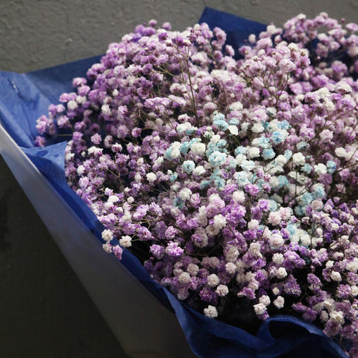 拾年花束 紫色满天星花束 商品图1