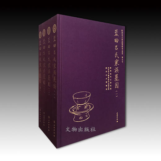 蓝田吕氏家族墓园（全四册） 商品图0