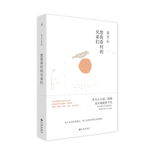 想我眷村的兄弟们 朱天心 商品图0