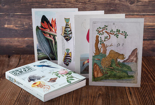 博物学家的传世名作：来自伦敦自然博物馆的博物志典藏 商品图4