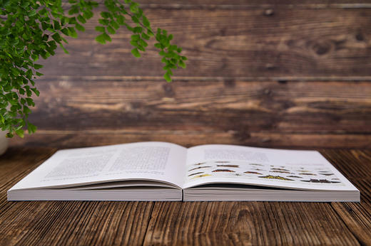 博物学家的传世名作：来自伦敦自然博物馆的博物志典藏 商品图7