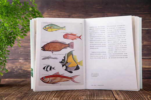 博物学家的传世名作：来自伦敦自然博物馆的博物志典藏 商品图5