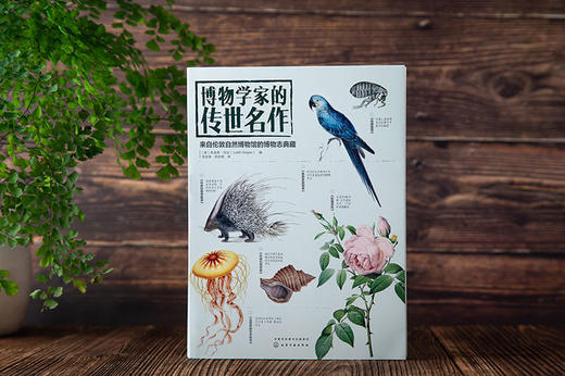 博物学家的传世名作：来自伦敦自然博物馆的博物志典藏 商品图2