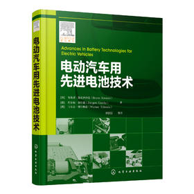 电动汽车用先进电池技术