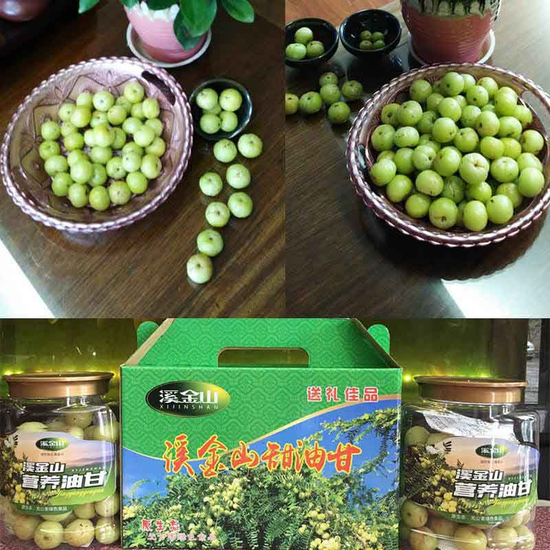 【稀有品种】摩天石油甘王 普宁摩天石甜油甘 多重养生功效 送礼佳品
