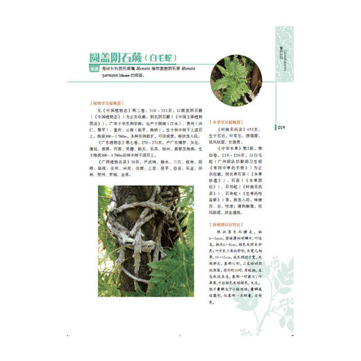 岭南药用植物图志（上册） 商品图2