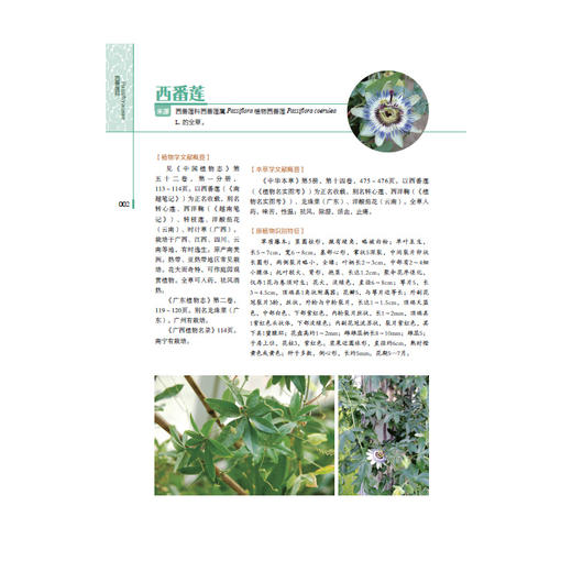 岭南药用植物图志（下册） 商品图2