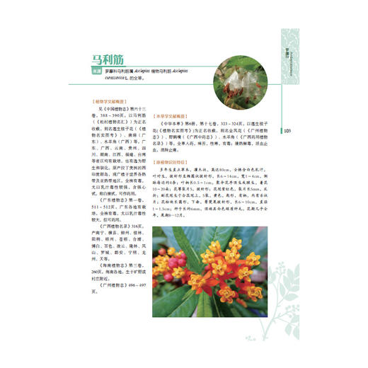 岭南药用植物图志（下册） 商品图4