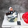 万圣节🎃幽灵蛋糕 商品缩略图1