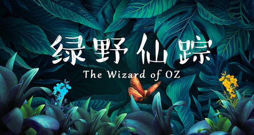 绿野仙踪05 商品图0