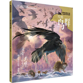 黑鹤动物小说儿童彩绘拼音版·雪地鸟群