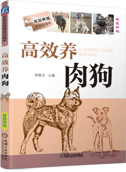 高效养肉狗 商品图0