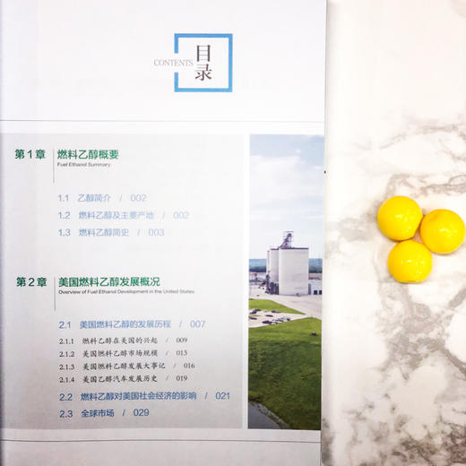 燃料乙醇——美国发展经验分享与启示 商品图3
