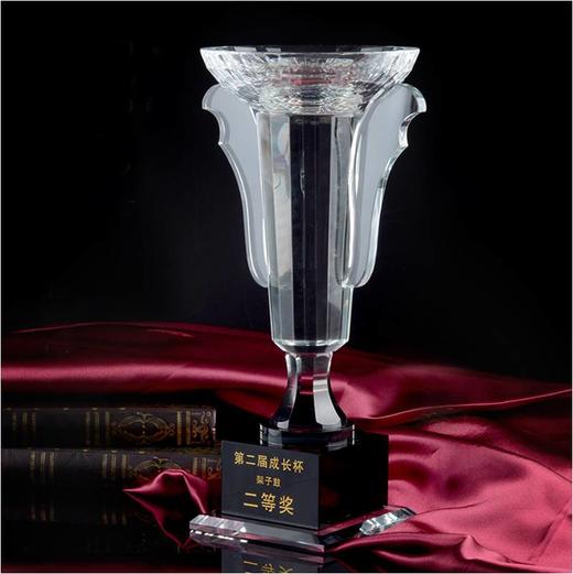 奖杯 水晶 冠军之杯 定制 刻字定做创意纪念品制作颁奖比赛奖品 商品图0