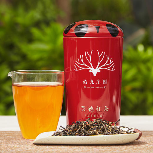 英九庄园丨英德红茶 红罐 英红九号（花果香） 一级 100g 商品图0