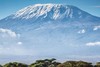坦桑尼亚“云中孤旅”之乞力马扎罗登山+经典safari  14天 商品缩略图0