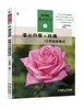 灌丛月季·玫瑰12月栽培笔记 商品缩略图0