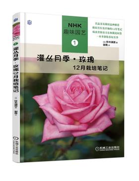 灌丛月季·玫瑰12月栽培笔记