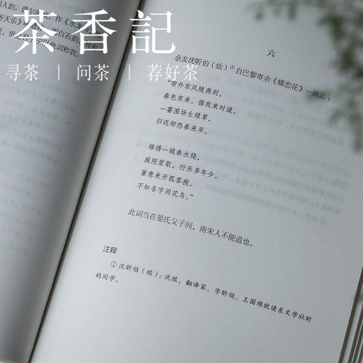 茶香记 《人间词话》人到无求品自高，一本有温度的词话品评 商品图3