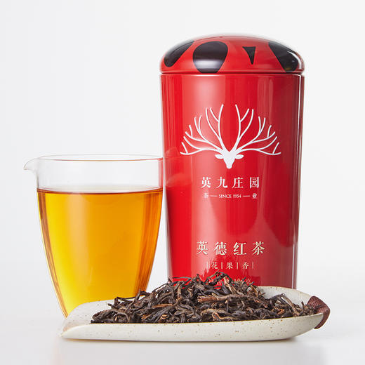 英九庄园丨英德红茶 红罐 英红九号（花果香） 一级 100g 商品图4