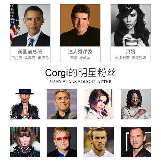 CORGI 羊毛针织 手工男袜 商品图3
