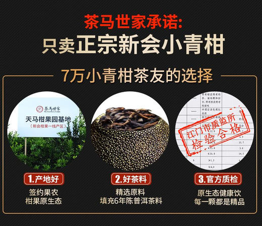 茶马世家 正宗新会小青柑 品鉴装 有身份认证的新会柑+ 8年陈宫廷普洱【每人限购3盒】 商品图1