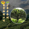 乌龙茶 留山红心茶 2018年十年的味道 400g (百年母树移植） 商品缩略图6