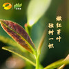 乌龙茶 留山红心茶 2018年十年的味道 400g (百年母树移植） 商品缩略图3