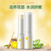 蜂蜜滋润植物润唇膏 商品缩略图1