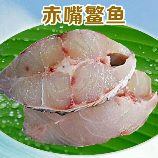 【醇香鳘鱼肉片】赤嘴鳘鱼胶是鱼胶中的上品,鳘鱼肉更