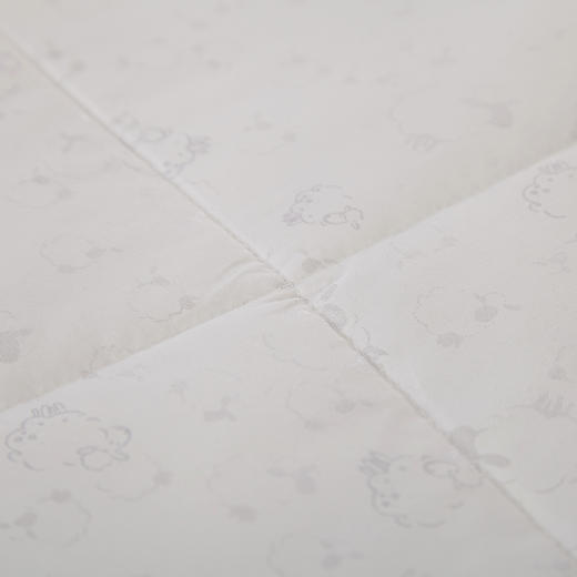 MYM-003 舒馨羊毛被 商品图2