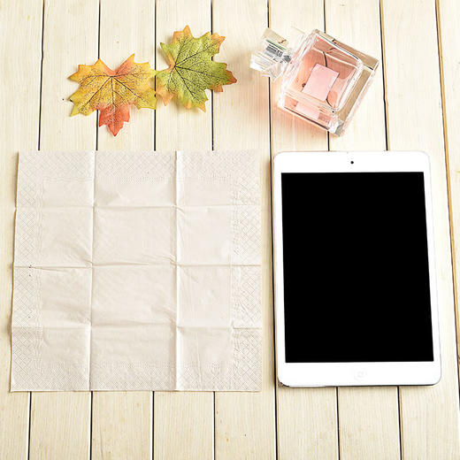 怡飘 熊猫本色手帕纸量贩装 商品图4