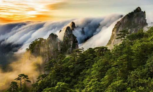 游黄山 商品图0