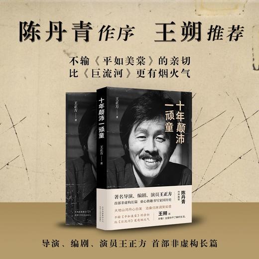 十年颠沛一顽童 商品图1