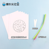 细胞分裂 商品缩略图4