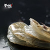 出口品质 盐田虾鲜活速冻虾子 冰鲜虾活虾海鲜速冻虾低脂虾甜虾230g 商品缩略图1