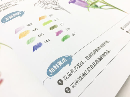 花儿绘生活：37种花卉色铅笔图绘 商品图1
