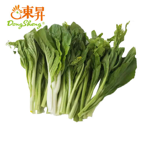 东升农场  有机白菜心  白菜苔  广州供港蔬菜新鲜配送 300G 商品图2