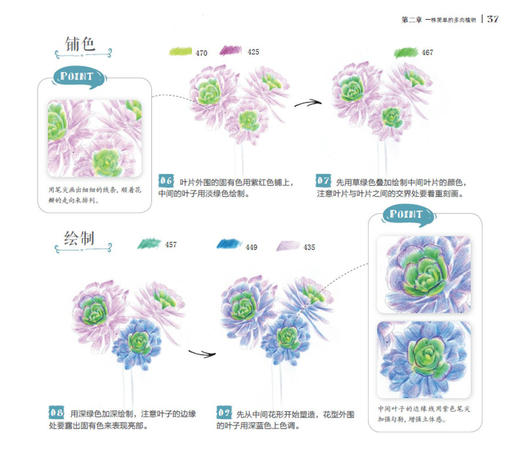 多肉绘生活：37种多肉植物色铅笔图绘 商品图4