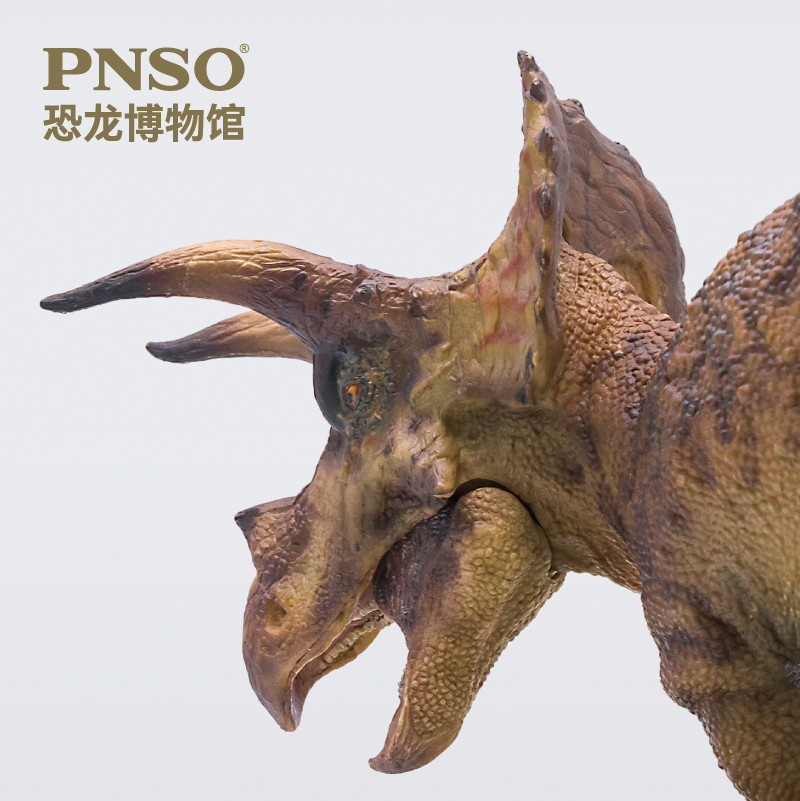 pnso恐龙博物馆三角龙多利马门溪龙尔玛135科学艺术模型