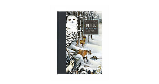 怎样弥补孩子没有雪的冬天？  商品图0