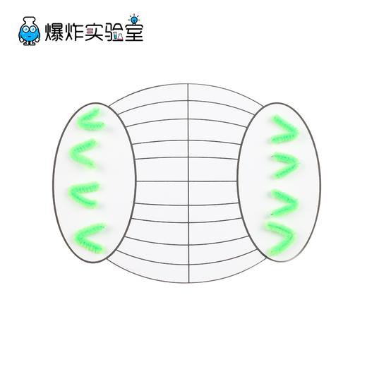细胞分裂 商品图1