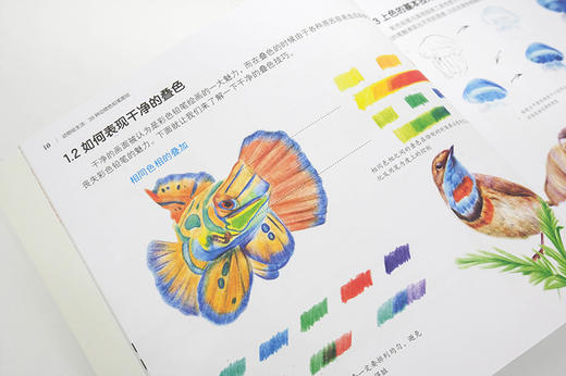 动物绘生活：38种动物色铅笔图绘 商品图3