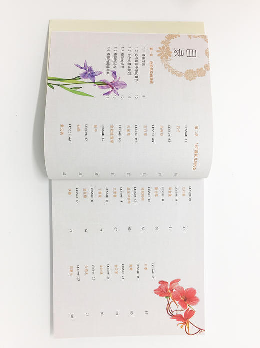 花儿绘生活：37种花卉色铅笔图绘 商品图2