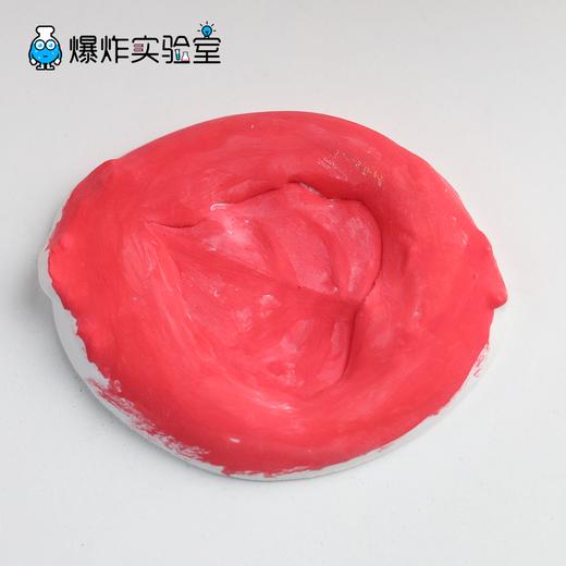 叶脉化石 商品图0