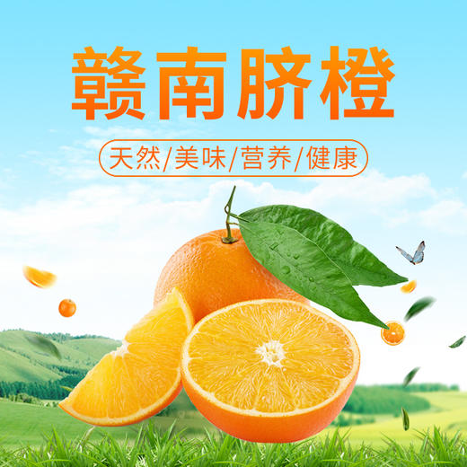 正宗赣南脐橙（5斤装） 商品图0