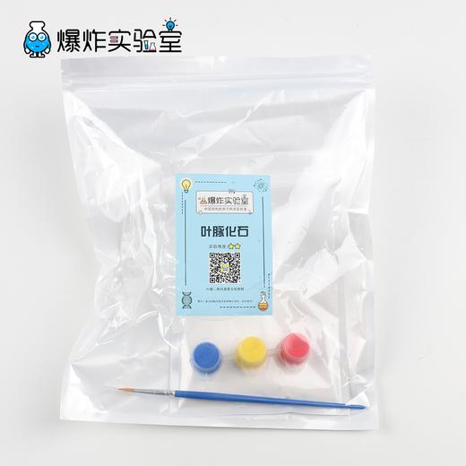 叶脉化石 商品图4