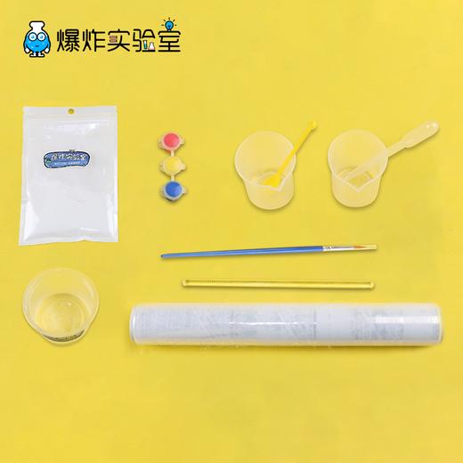 叶脉化石 商品图3